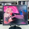 19 INCH USED LED MONITOR ( without cables )